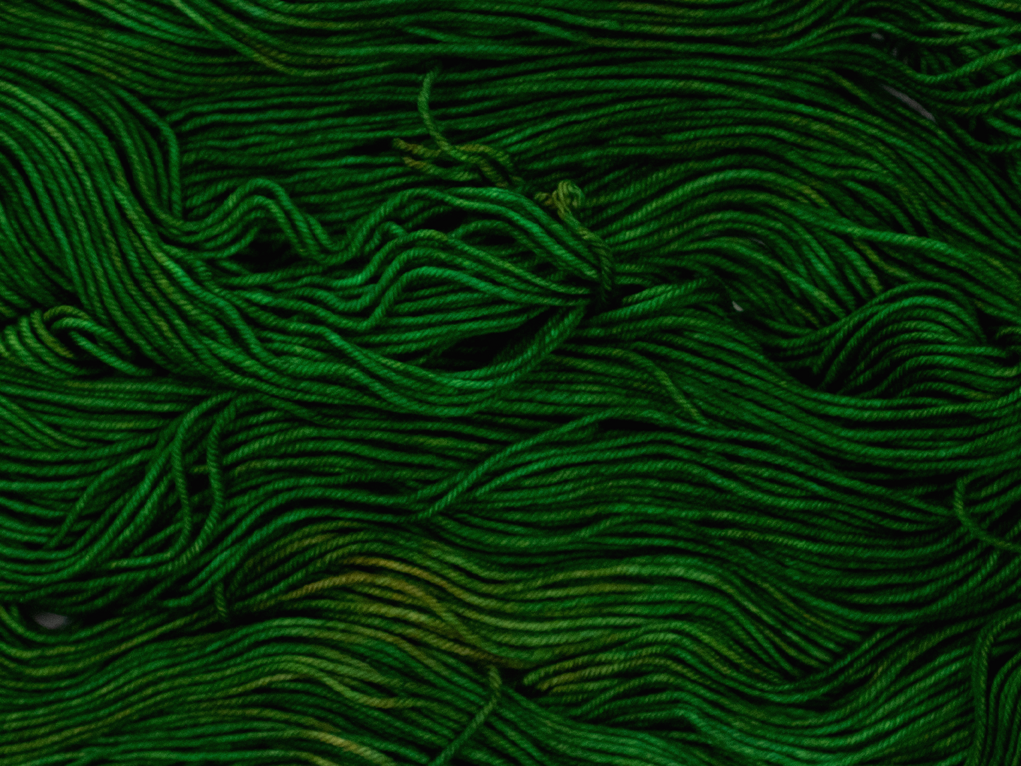 Photo of DK Weight yarn in "Forest Park"