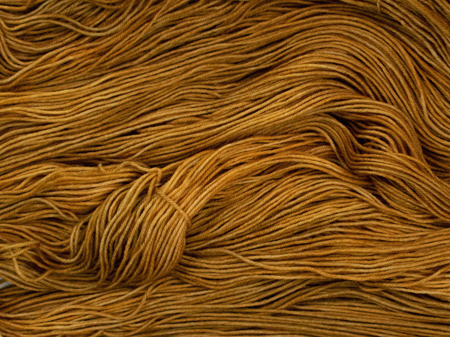 Photo of Fingering Weight yarn in "Brass Monkey"