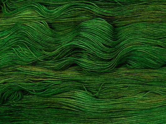 Photo of Fingering Weight yarn in "Forest Park"