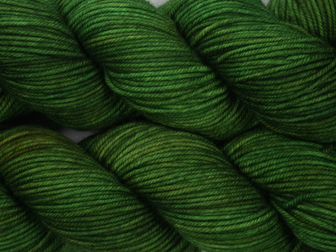 Photo of DK Weight yarn in "Forest Park"