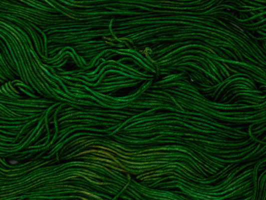 Photo of DK Weight yarn in "Forest Park"