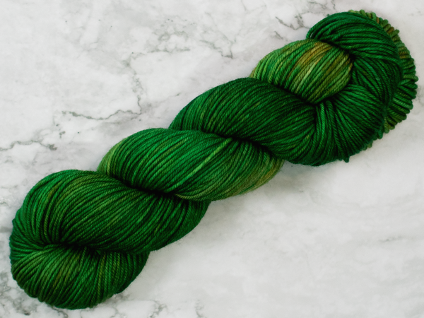 Photo of DK Weight yarn in "Forest Park"